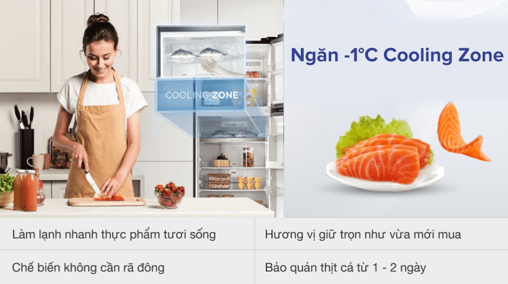 Tủ Lạnh Toshiba Inverter 311 Lít GR-RT395WE-PMV(06)-MG - ngăn Cooling Zone